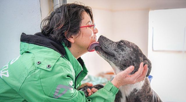 Mersin’de Patili Dostlara Büyük Şehir Desteği!