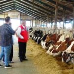 Samsun’da 2024 Yılında Hayvan Sağlığı ve Yetiştiriciliğinde Önemli Adımlar!