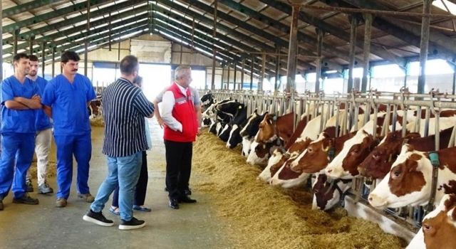 Samsun’da 2024 Yılında Hayvan Sağlığı ve Yetiştiriciliğinde Önemli Adımlar!