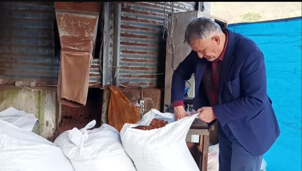 TMO’nun Fındık Fiyatı Düşürmesi Etkili oldu