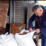 TMO’nun Fındık Fiyatı Düşürmesi Etkili oldu