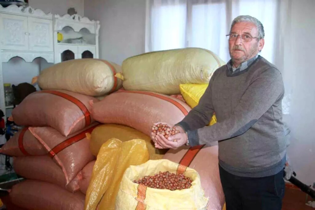Üreticilerin Elinde 100 Bin Ton Fındık: Fiyatlar Yükselişte