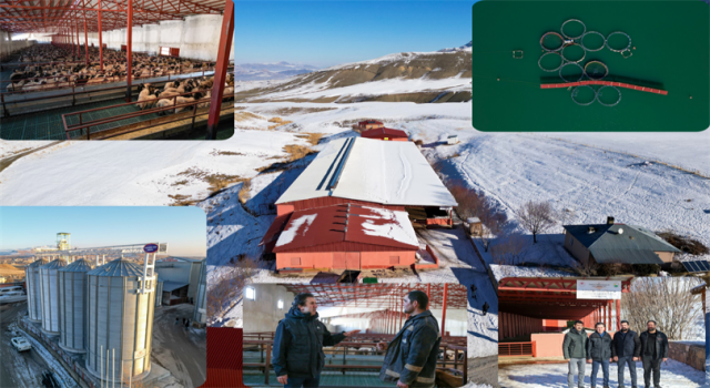 Van’da Kırsal Kalkınma Projelerine 185 Milyon TL Destek!