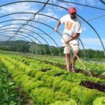 “Hibe Destekleri Tarıma Dayalı Ekonomik Yatırımlara Sağlanacak”