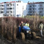 Lapseki’den Dünyaya Meyve Fidanı İhracatı