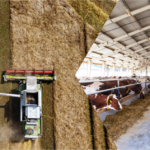 “Yeni Araştırmaya Göre İnsanlar Günde 8 Saatten Fazla Çalışmamalı”