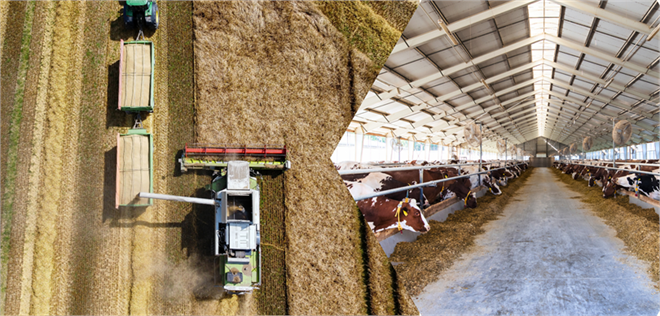 “Yeni Araştırmaya Göre İnsanlar Günde 8 Saatten Fazla Çalışmamalı”
