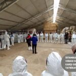 İstanbul’da Şap ve Koyun-Keci Vebası Tatbikatı