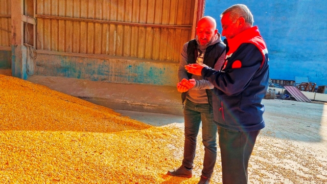 Samsun’da Kırsal Kalkınma Yatırımları Artıyor