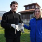 Samsun’da Yabani Hayvanlar İlk Yardım Merkezi’nin Etkileyici Çalışmaları