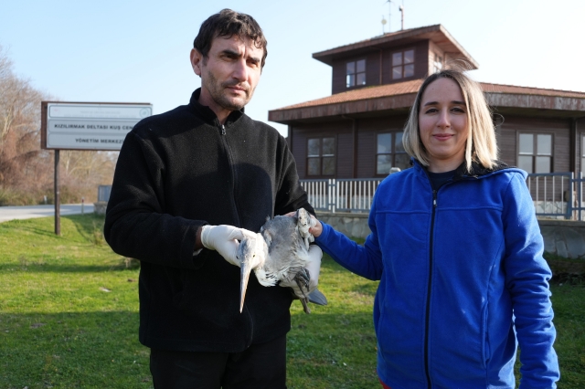 Samsun’da Yabani Hayvanlar İlk Yardım Merkezi’nin Etkileyici Çalışmaları