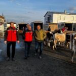 Kırşehir Tarım Müdürü Kesimhaneleri ve Pazarı Ziyaret Etti