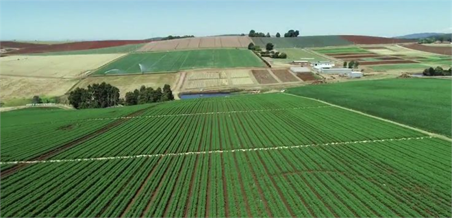 “Çiftçilere 2.1 Milyar TL Destek Ödemesi Yapıldı”