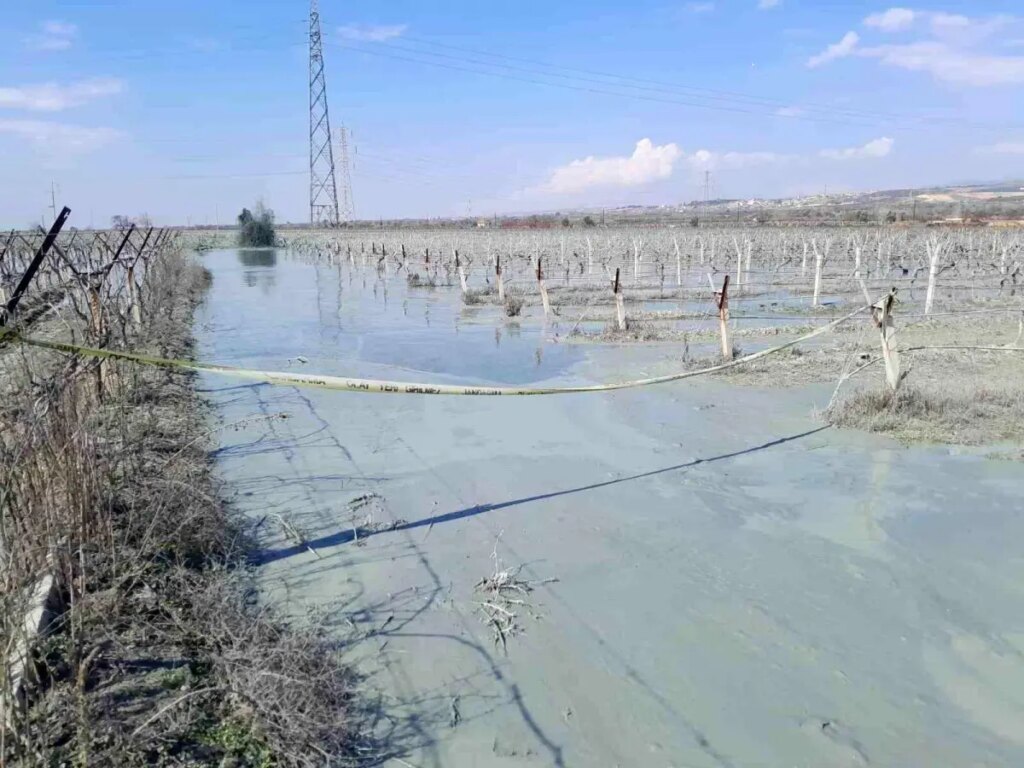 Alaşehir’de Üzüm Bağında Korkutan Patlama