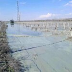 Alaşehir’de Üzüm Bağında Korkutan Patlama