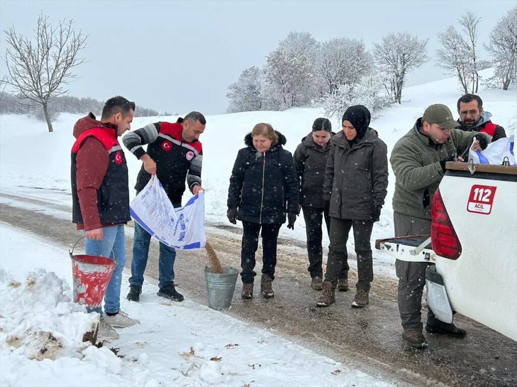 Amasya’da Yaban Hayvanlarına Doğaya Yem Bırakıldı