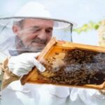 Denizli’den Arıcılara Ücretsiz Ekipman Desteği!