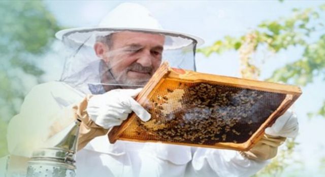 Denizli’den Arıcılara Ücretsiz Ekipman Desteği!