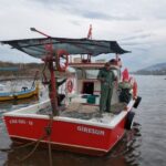 Balıkçılara Müjde: Küçük Ölçekli Balıkçılara Büyük Destek!