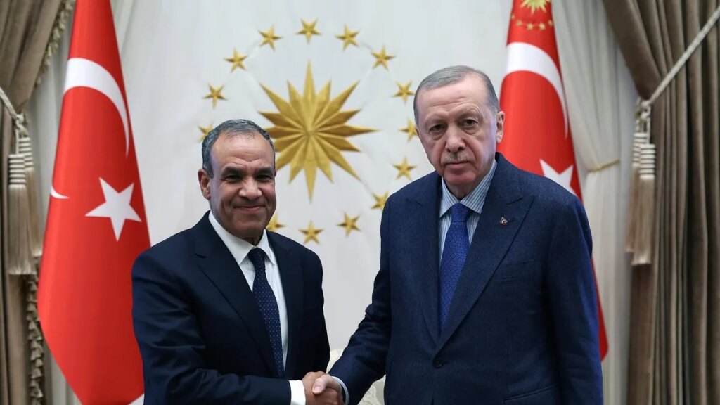 Başkan Erdoğan, Mısır Dışişleri Bakanı Abdulati’yi kabul etti