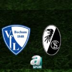 Bochum – Freiburg Maçı Ne Zaman? 🕔 “Yeni Araştırma: İnsanların Günlük Hayatta Yaptığı Alışkanlıklar”