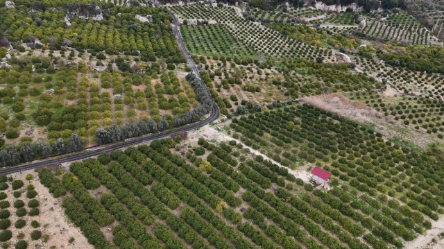 Mersin Büyükşehir Belediyesi Üreticilere Sulama Borusu Desteği Sağlıyor