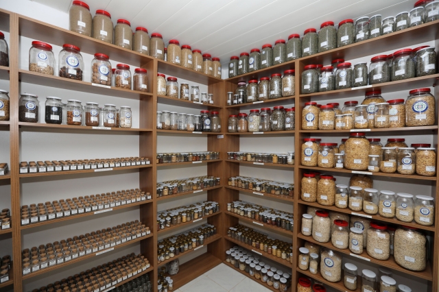 Muğla’da Yerel Tohum Projesi: 21 Milyon Tohum Vatandaşlarla Buluşacak