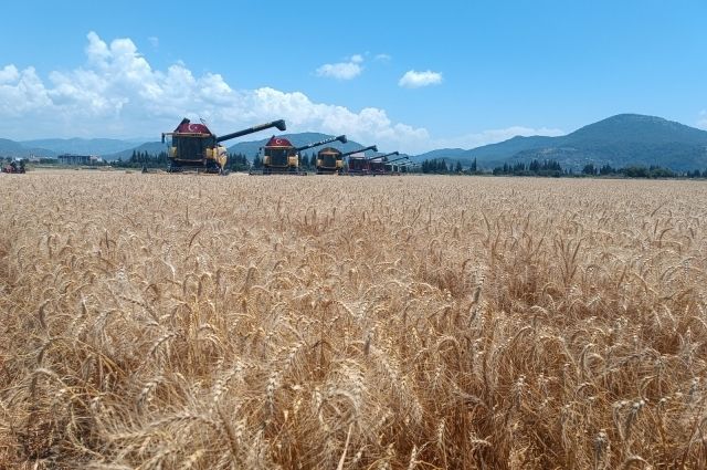 Çiftçilere 2.25 Milyar TL Destek Ödemesi