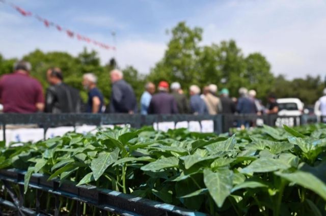 Tekirdağ’da Çiftçilere 70 Fide Desteği Başvurusu Başladı