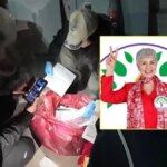 DEM Parti İl Başkanı Terörden Gözaltında!