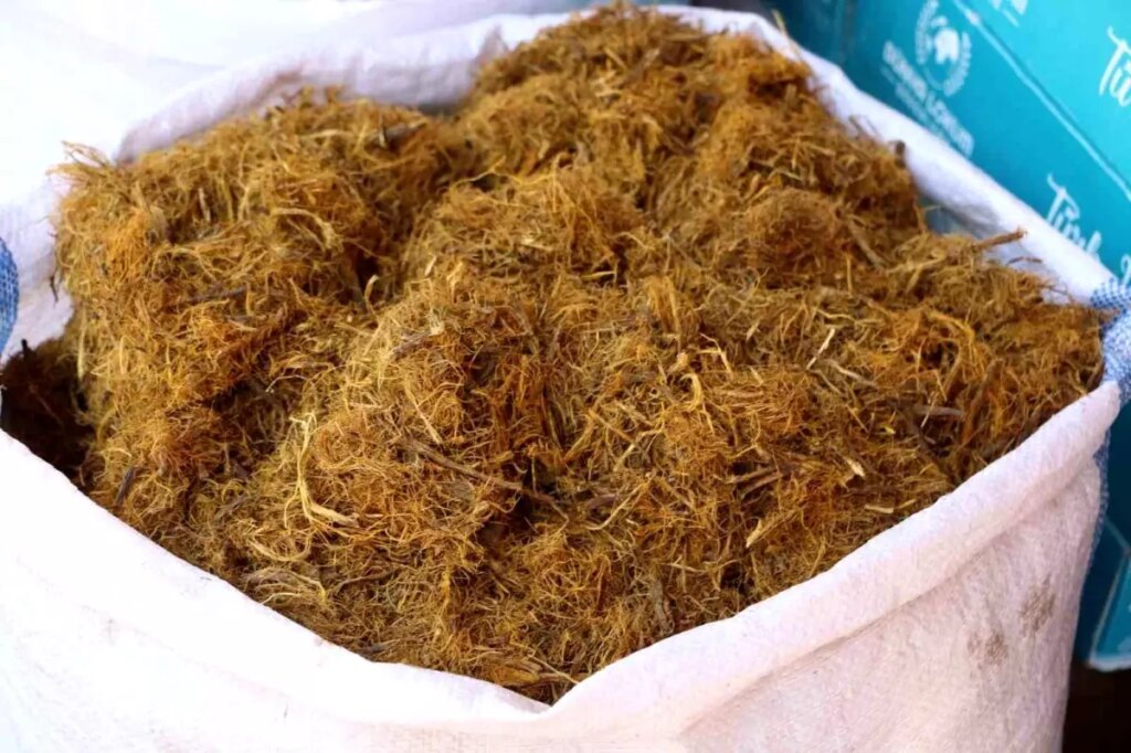 Diyarbakır’da Meyan Şerbeti: Aktarcının Detaylı Anlatımı