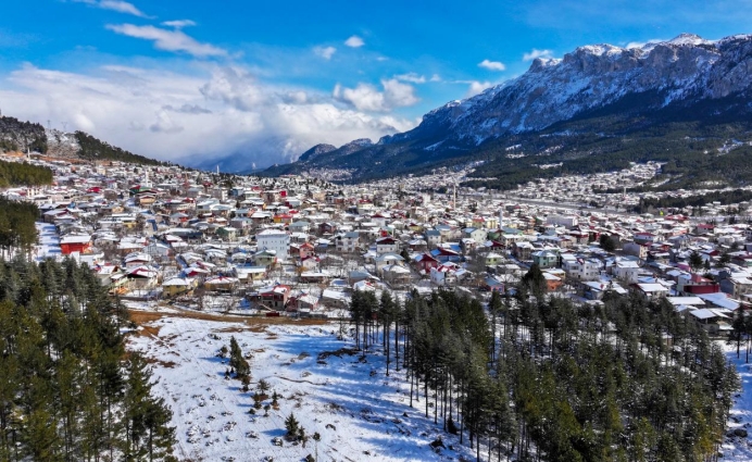 Yılkı Atlarına Kış Desteği: Kar Altında Kalmış Otlara Büyükşehir Yetişti