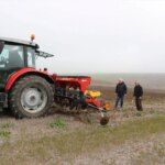 Edirne’de Ayçiçeği Ekim Metotları Deneniyor