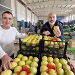 Elma Fiyatlarındaki Yükselişin Nedenleri