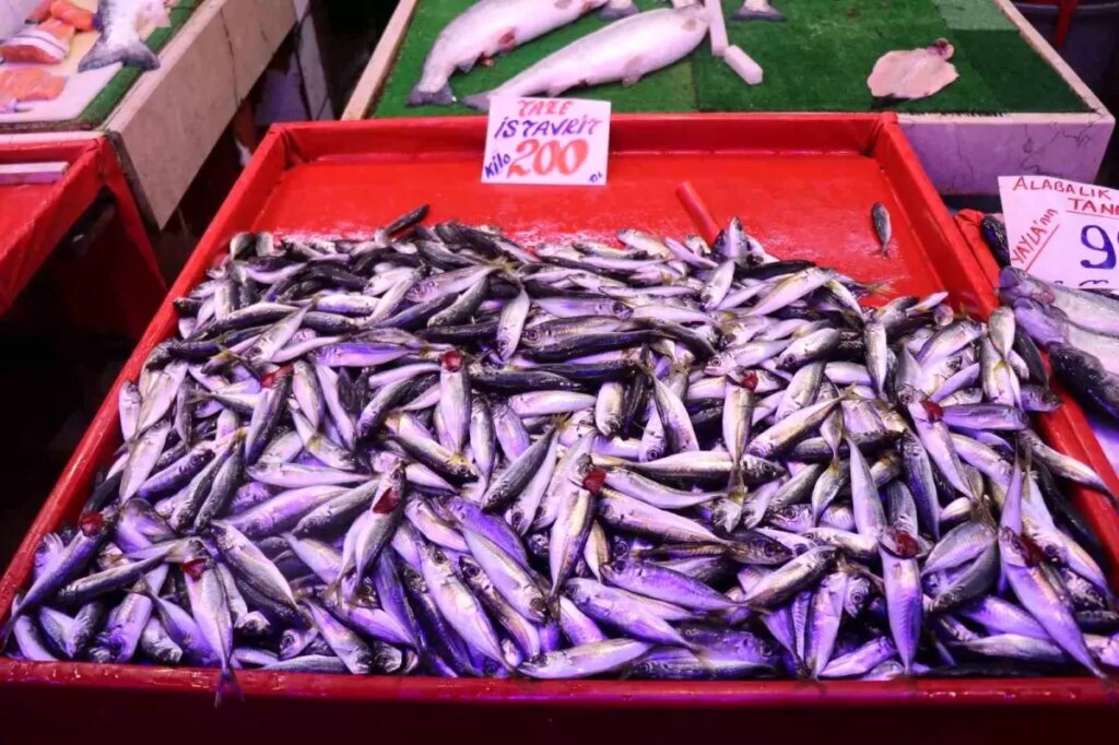 Hava Şartlarından Dolayı Balık Fiyatları İkiye Katlandı