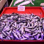 Hava Şartlarından Dolayı Balık Fiyatları İkiye Katlandı