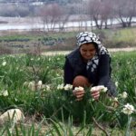 Mersin’de Hobi olarak Başladı, Gecim Kaynağı Oldu