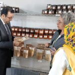 İl Tarım ve Orman Müdürü Ayvacık’ta İncelemelerde Bulundu