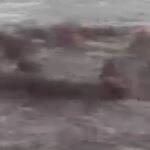 Rögar Taşması İzmir’de Kirliliği Ortaya Çıkardı