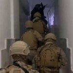 İzmir Merkezli FETÖ Operasyonu: 13 Gözaltı