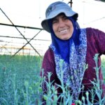 Antalya’dan 80 Milyon Dal Çiçek İhraç Edilecek!