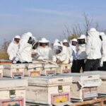 Büyükşehir Belediyesi’nden 2025 Arıcılık Destek Projesi