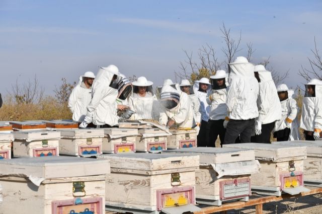 Büyükşehir Belediyesi’nden 2025 Arıcılık Destek Projesi