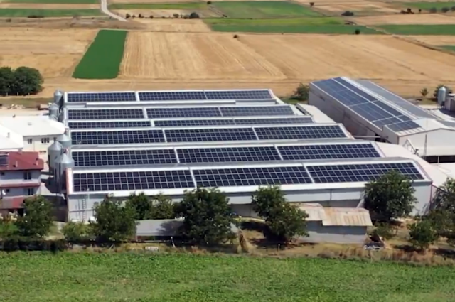 Tarım Bakanı: Kendi Elektriğini Üreten Çiftçilere 500 Bin Avroya Kadar Destek