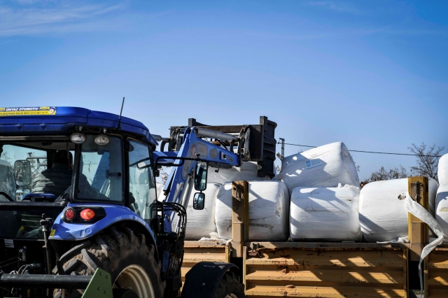 Ankara’da Genç Çiftçilere Mısır Silajı Desteği!