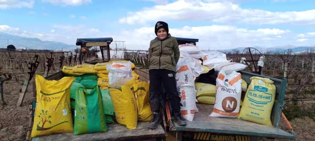 Manisa’da Üzüm Bağlarına Kışlık Gübre Veriliyor