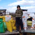 Manisa’da Üzüm Bağlarına Kışlık Gübre Veriliyor
