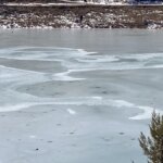 Tozlu Göleti’nde Sıradışı Görüntü!