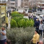 Milas Belediyesi Üreticilere %50 Hibeli Fidan Desteği