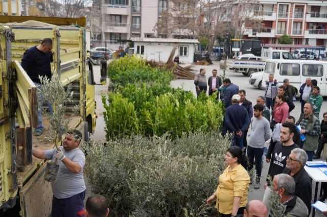 Milas Belediyesi Üreticilere %50 Hibeli Fidan Desteği